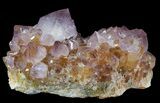 Cactus Quartz (Amethyst) Crystal Cluster - South Africa #64249-2